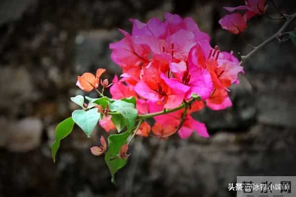 越是想征服一个男人，越不要主动，而是学会“晾”着他