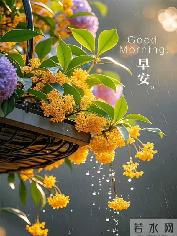 早上好早安祝福美图-浅冬生寒意，微光暖人心