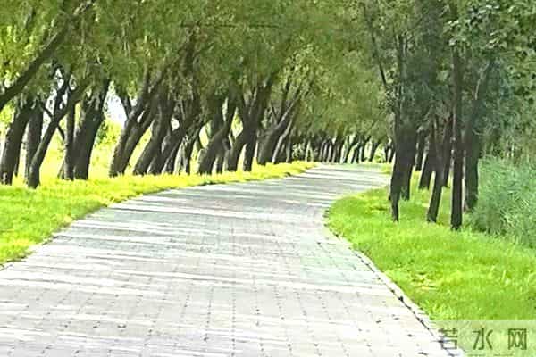 她是不喜欢自己