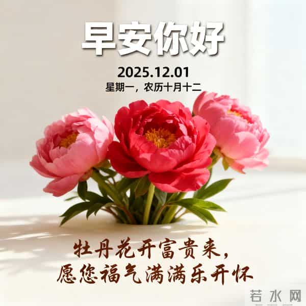2025.12.01 十二月首日晨风寒 热粥暖胃启新程 早安奋斗好运连