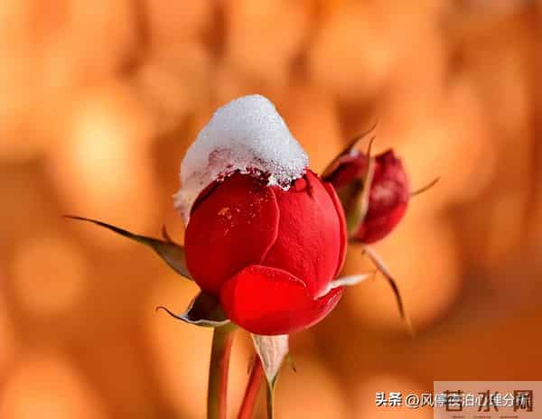 面对背叛，你该关注的就一点：这段关系，还有没有被治愈的可能