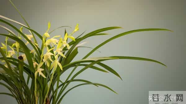 男人一碰女人这里，她就立马投降的两处“死穴”