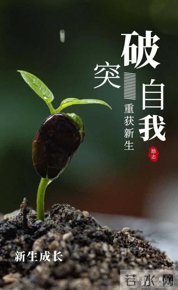 11再见文案图片，十一月最后一天朋友圈语录配图