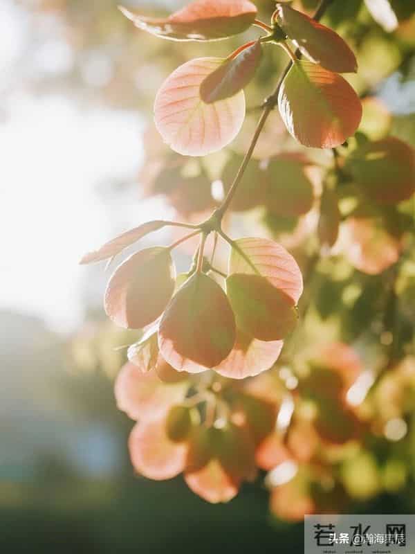 16句总有一句，会让你在某个瞬间，突然看清生活的真相，或者道理