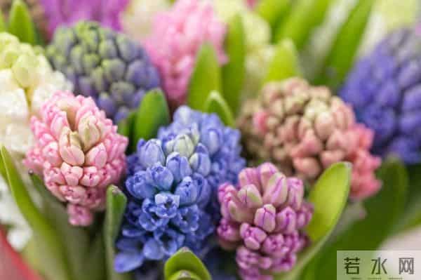 事实上，一个不喜欢你的女人，才会如此对待你