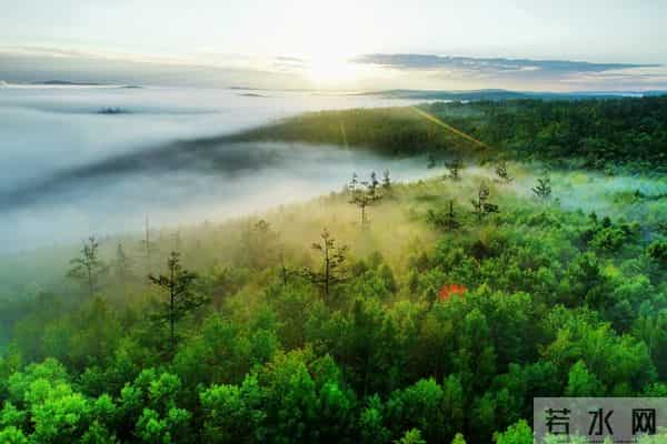 发现一个奇怪的现象：无论和谁打交道，适当的强势，你才会被尊重