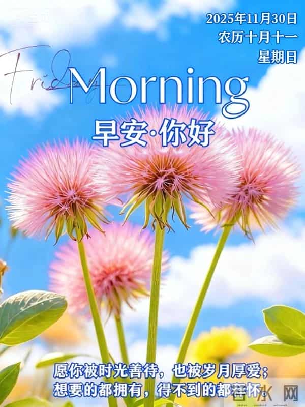2025.11.30 冬天周日早上好！最新精美周日早安愉快温馨祝福语图片