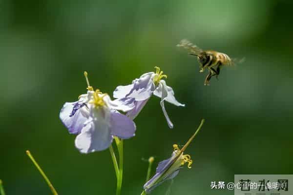 一句话让你一生不生气，做到了，你就是人生赢家！