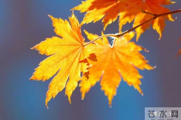要知道，人过了80岁，活着也没有几个人在意你，看了此文你就懂
