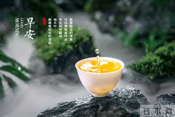 早安。清晨的茶香，是新一天最好的问候。