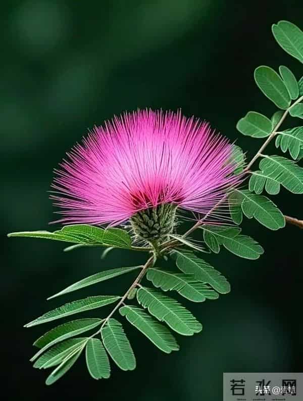 你的财运快递，今天送达，赶紧签收