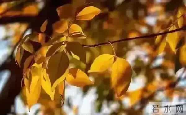 发现怪现象：越是独来独往没有朋友不合群的人，人品往往越没问题