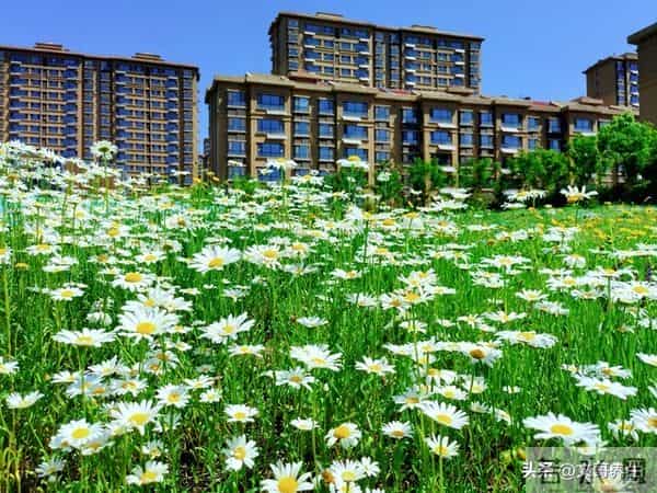 父母老了，这五件事必须对儿女隐瞒，真正懂得才是人生大智慧！