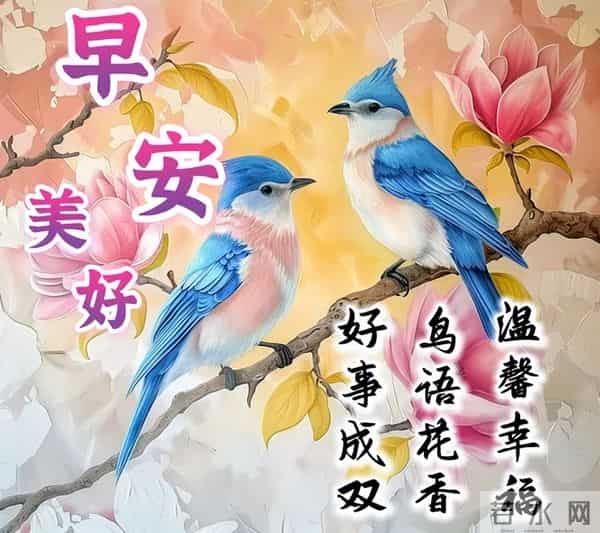 11月30日早安高质量文案，温暖早上好问候祝福，愿健康常伴