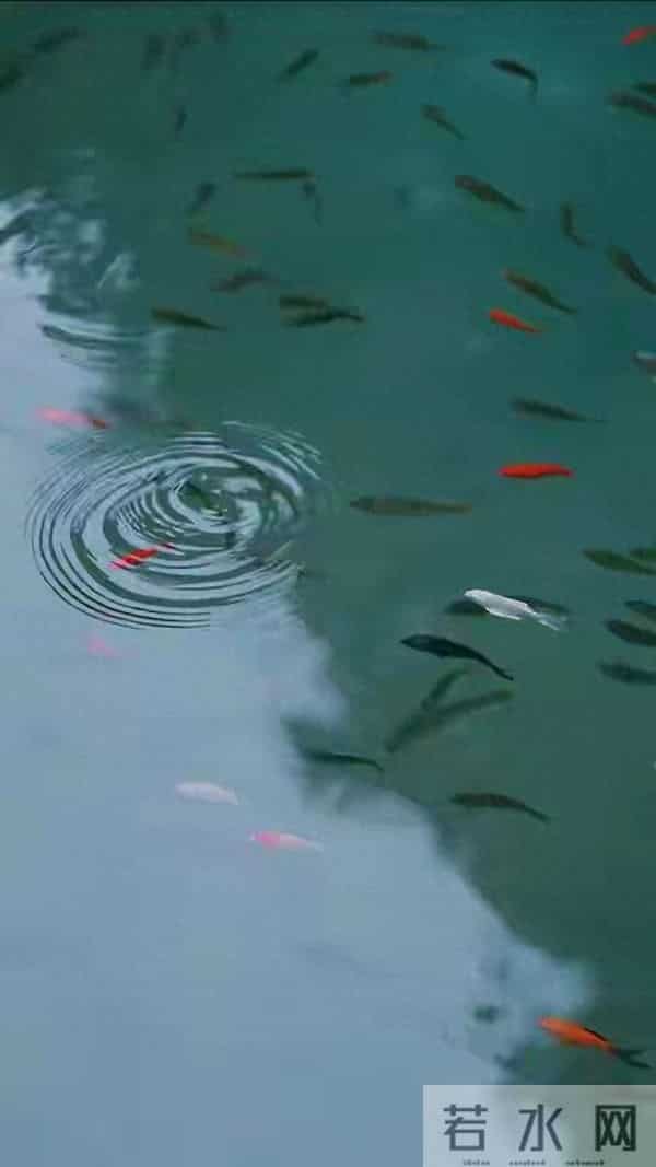 养生专家力荐：正念不是禅修！活在当下，内耗秒消！