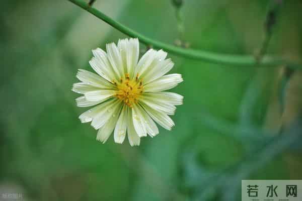 男人辜负你，你最好的回击是：做好一件事