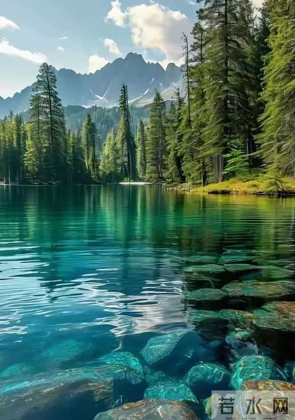 生活，半是凡尘烟火色，半是岁月素心痕