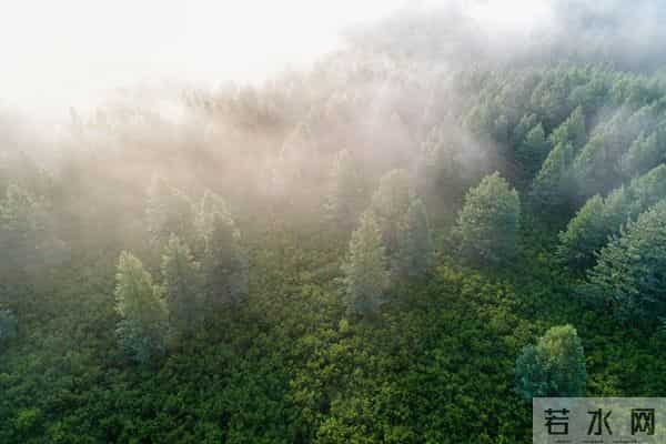 发现一个奇怪的现象：无论和谁打交道，适当的强势，你才会被尊重