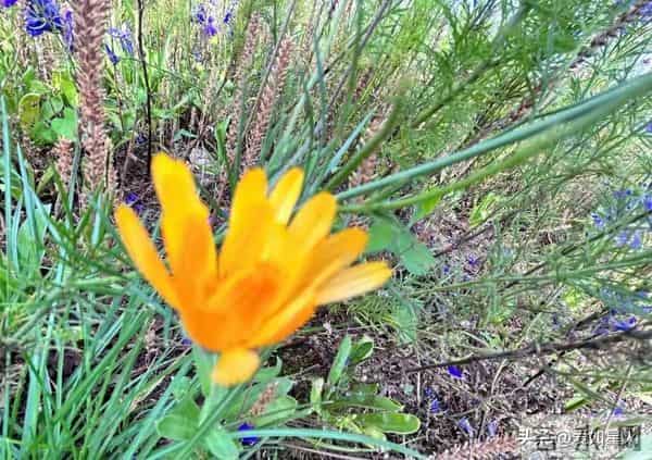 这三种男人,会让女人“上瘾”,无关年龄颜值