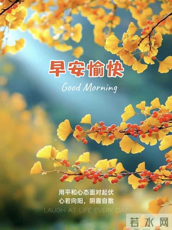 周日愉快!愿你采撷半日闲云，钓得一篓欢愉，尽享周末美好时光!