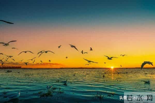 一个女人好不好撩，发她“三个字”立马见分晓