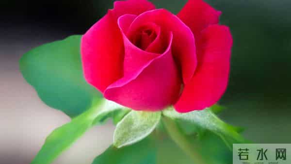 11月30日星期日,天蝎座,大吉事即将到来!