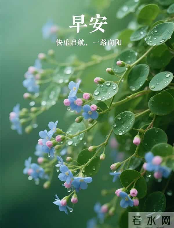 晨花伴早安，绿意裹新光