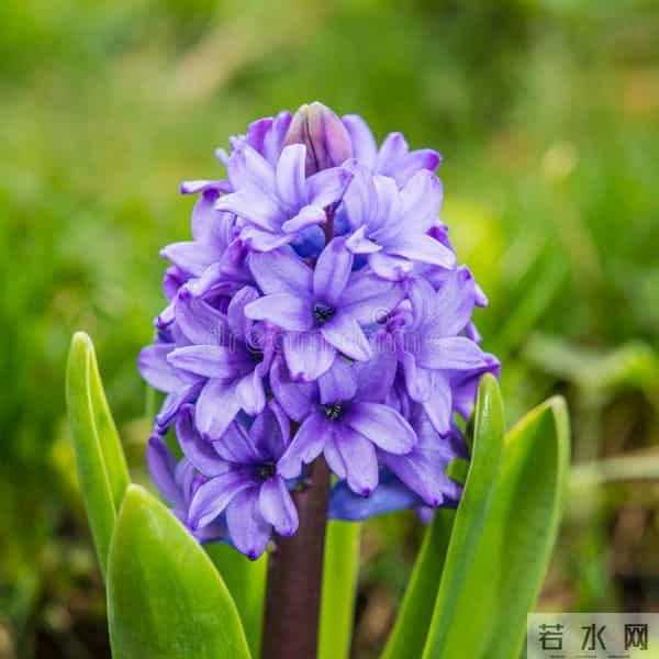 男人嫌弃你了，是有征兆的