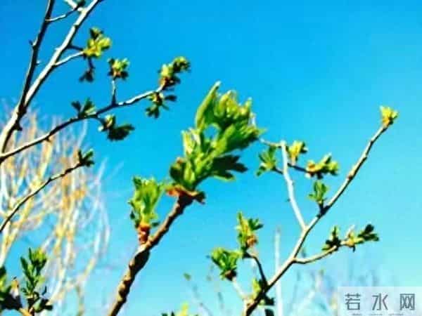 这段话抄下来，享用一生，永不过时，句句入心，直接抄了