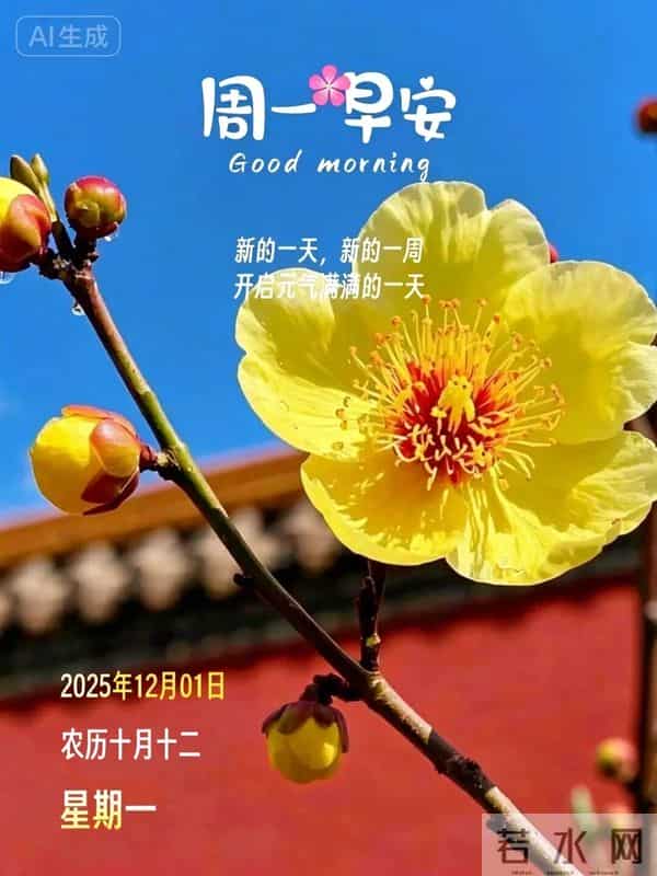 2025.12.01 今日唯美早安祝福图片问候，温馨早上好祝福语