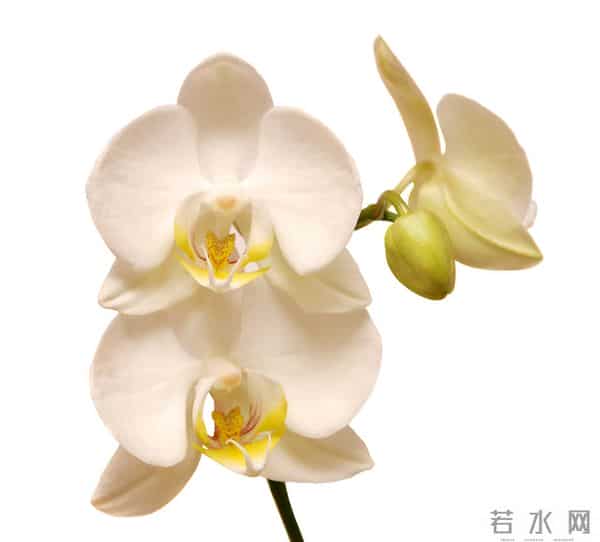 拿下一个女人的关键：墨菲定律