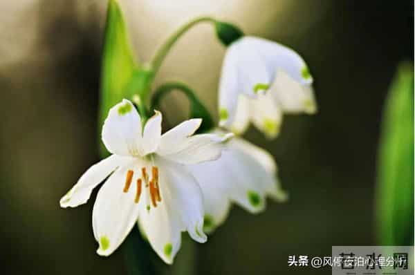 夫妻之间，有些事的发生，真不必要离婚！除非触碰了“原则”问题