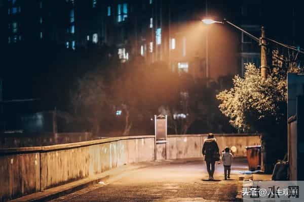 31页日光书—最是人间留不住，朱颜辞镜花辞树—再见11月你好12月