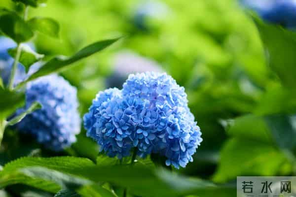 两性关系：为什么女人过了70岁还要找男人？70岁女人的大实话