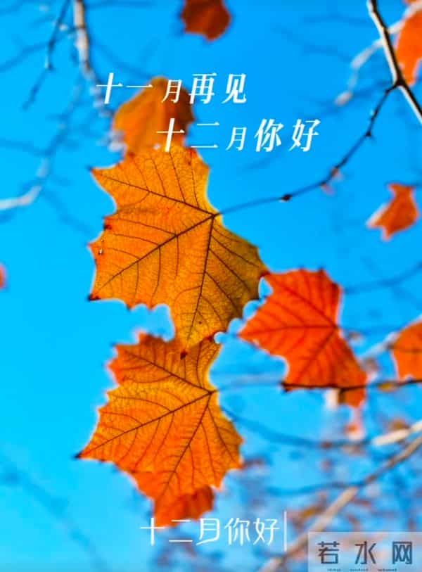 十一月再见十二月你好！