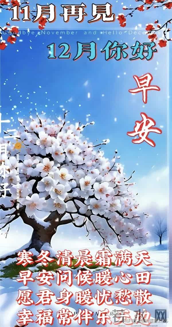 早安十二月！愿您这一年的付出，都在这最后的时光里绽放光芒！