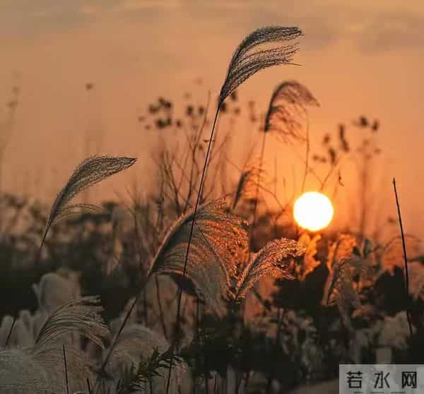 玄学：尽量不要跟身边任何人！包括你的亲人，分享这4件事！