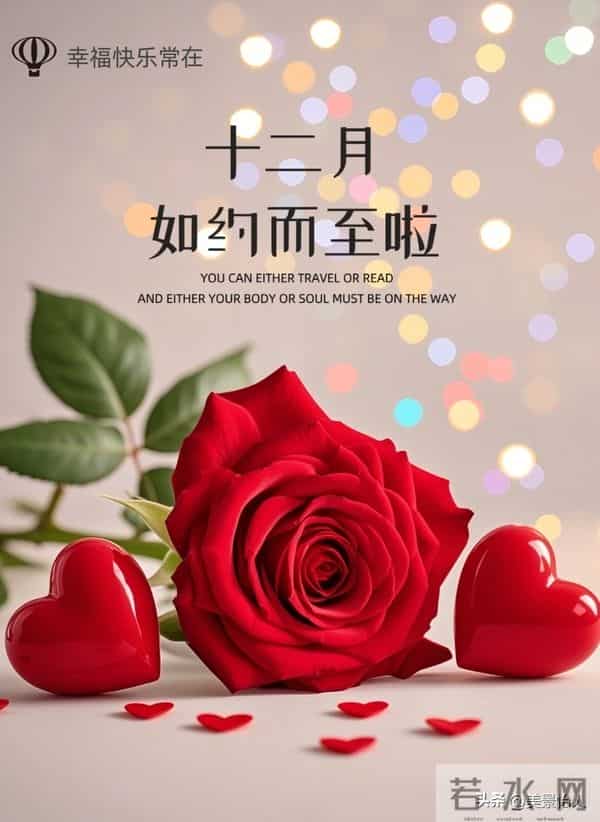 十二月你好，愿冬有暖阳，心有欢喜～