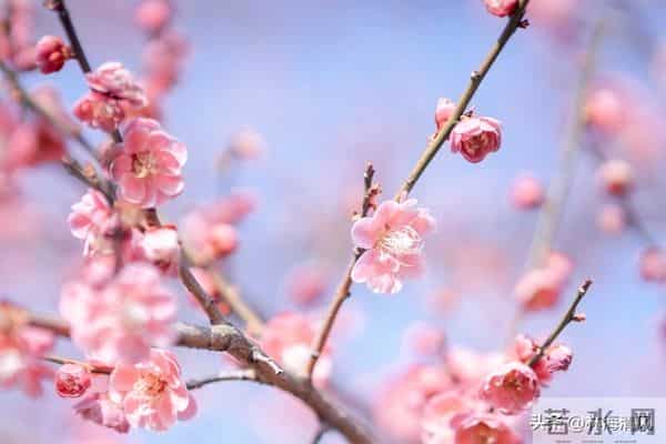 女人别冲动离婚：家在人在，别让一时意气毁了半生安稳