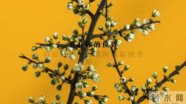 在乎你的男人，有这10个表现。男人你占了几个。