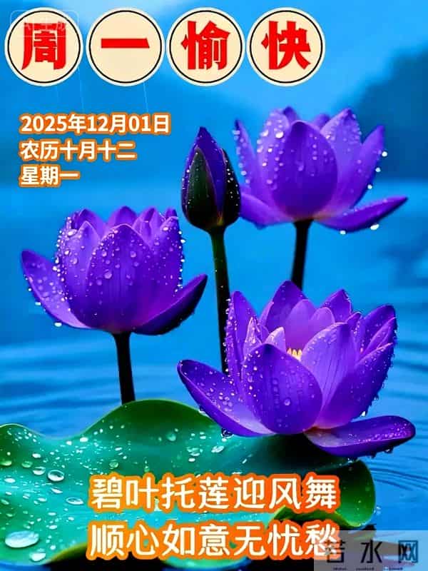 「12月1日」15张冬日早安图片：冬日有梦，幸福安宁