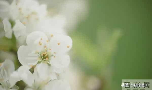 搞定中年女人，只靠这3个小动作，她会主动靠近你