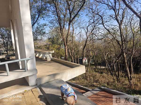 人与人之间，最体面的告别方式：不册除，不联系，不打扰