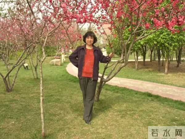 我的婚姻故事（41）