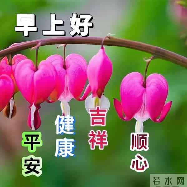 11月30日早安高质量文案，温暖早上好问候祝福，愿健康常伴