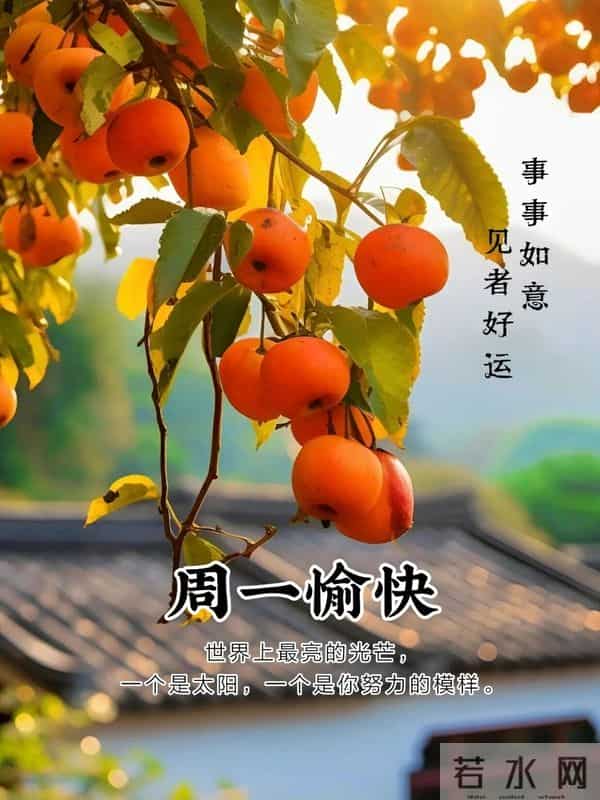 2025年12月1日周一早上好祝福语图片，最新温馨淡雅早安精美图片