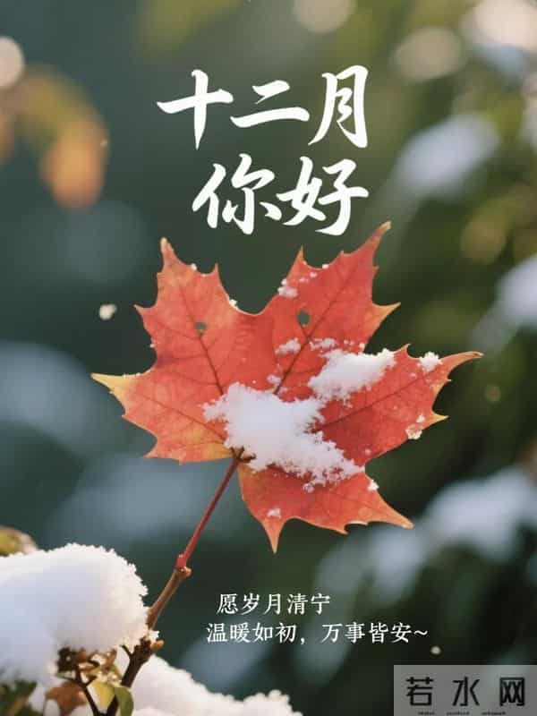 12月1日早安，十二月你好！愿日子有趣有盼，无病无灾，好运加持
