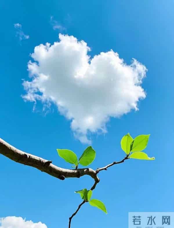 一个扎心真相：不是痛苦选择了你，而是你选择了痛苦