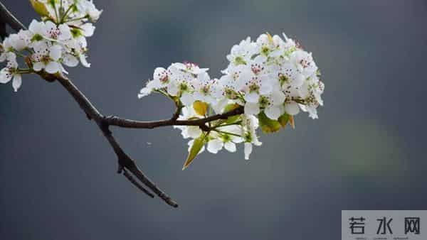婆婆生日姑姐说座位不够，男人让儿媳别去，晚上才知儿媳离家走了