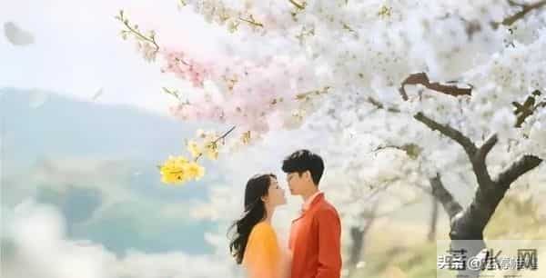 情人之间是真心还是假意，其实一眼就可以识别出来的